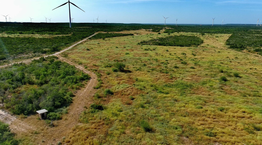 TRACT 4 (56AC) San Pablo Ave, Bruni, Texas 78344, ,Land,For Sale,TRACT 4 (56AC) San Pablo Ave,20263655