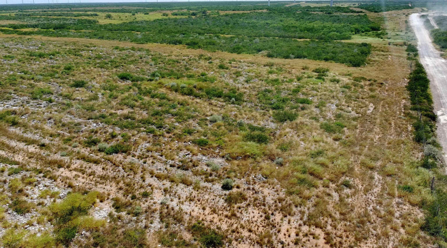 TRACT 4 (56AC) San Pablo Ave, Bruni, Texas 78344, ,Land,For Sale,TRACT 4 (56AC) San Pablo Ave,20263655