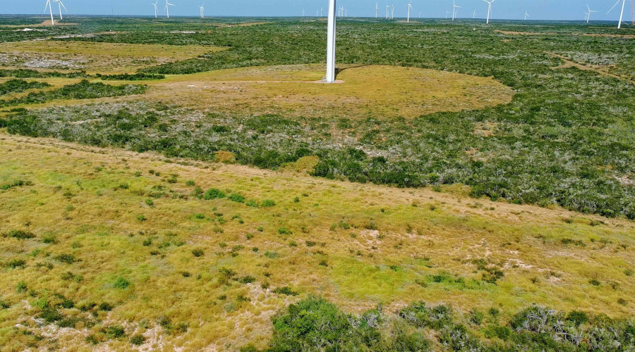 TRACT 4 (56AC) San Pablo Ave, Bruni, Texas 78344, ,Land,For Sale,TRACT 4 (56AC) San Pablo Ave,20263655