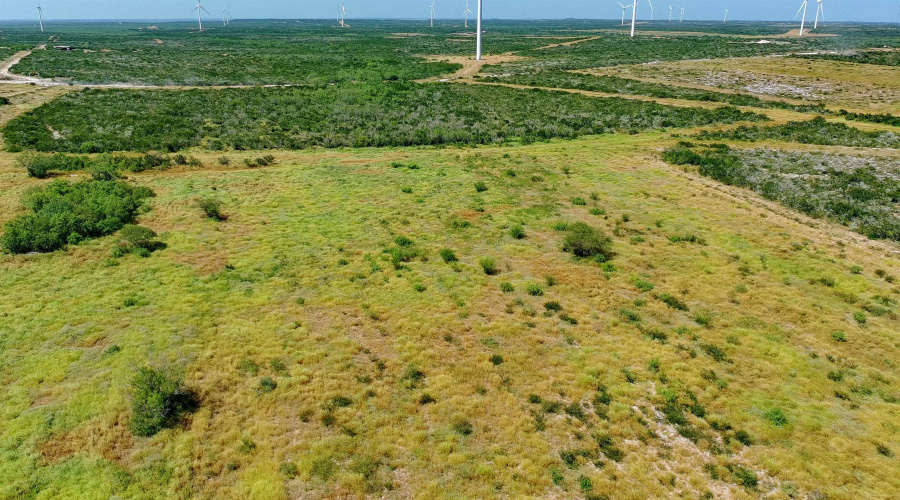 TRACT 4 (56AC) San Pablo Ave, Bruni, Texas 78344, ,Land,For Sale,TRACT 4 (56AC) San Pablo Ave,20263655