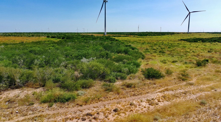 TRACT5 (47.9AC) San Pablo Ave, Bruni, Texas 78344, ,Land,For Sale,TRACT5 (47.9AC) San Pablo Ave,20263656