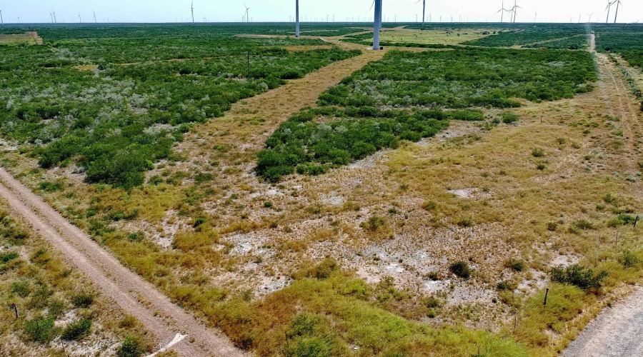 TRACT5 (47.9AC) San Pablo Ave, Bruni, Texas 78344, ,Land,For Sale,TRACT5 (47.9AC) San Pablo Ave,20263656