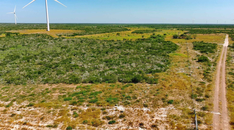 TRACT5 (47.9AC) San Pablo Ave, Bruni, Texas 78344, ,Land,For Sale,TRACT5 (47.9AC) San Pablo Ave,20263656