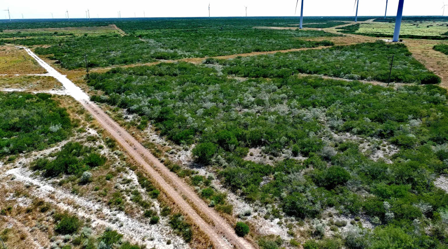 TRACT5 (47.9AC) San Pablo Ave, Bruni, Texas 78344, ,Land,For Sale,TRACT5 (47.9AC) San Pablo Ave,20263656