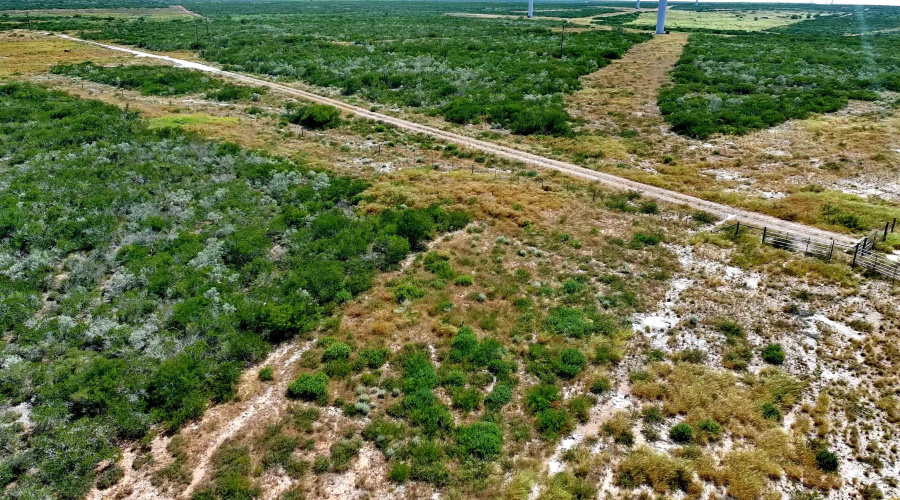 TRACT5 (47.9AC) San Pablo Ave, Bruni, Texas 78344, ,Land,For Sale,TRACT5 (47.9AC) San Pablo Ave,20263656