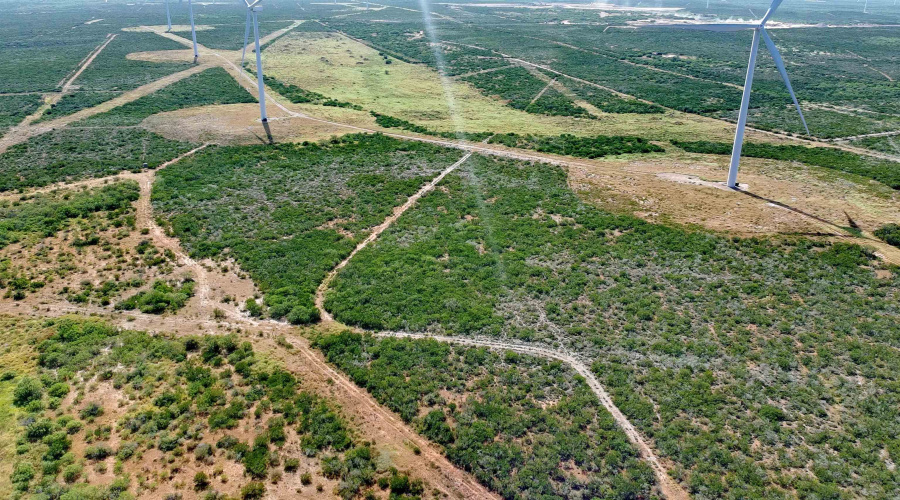 TRACT5 (47.9AC) San Pablo Ave, Bruni, Texas 78344, ,Land,For Sale,TRACT5 (47.9AC) San Pablo Ave,20263656