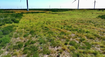 TRACT 6 (80AC) San Pablo Ave, Bruni, Texas 78344, ,Land,For Sale,TRACT 6 (80AC) San Pablo Ave,20263657