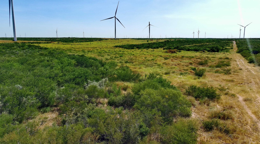 TRACT 6 (80AC) San Pablo Ave, Bruni, Texas 78344, ,Land,For Sale,TRACT 6 (80AC) San Pablo Ave,20263657