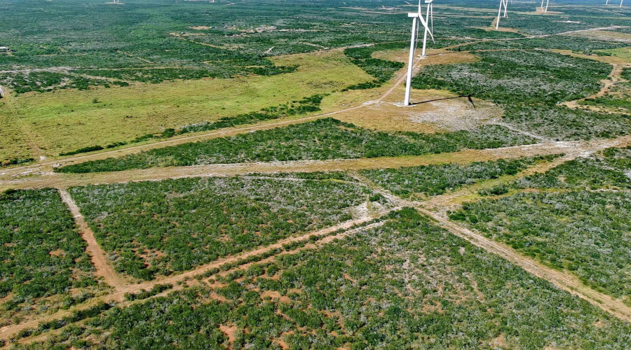 TRACT 6 (80AC) San Pablo Ave, Bruni, Texas 78344, ,Land,For Sale,TRACT 6 (80AC) San Pablo Ave,20263657