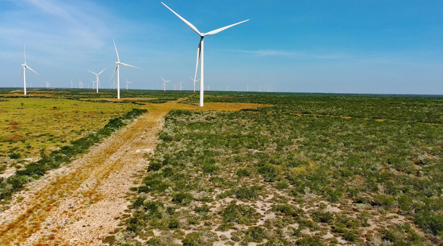 TRACT 7 (50AC) San Pablo Ave, Bruni, Texas 78344, ,Land,For Sale,TRACT 7 (50AC) San Pablo Ave,20263661