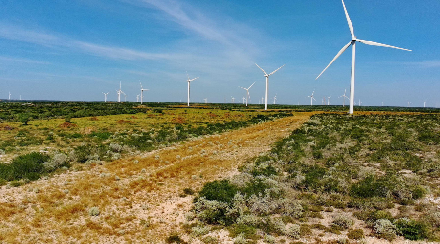 TRACT 7 (50AC) San Pablo Ave, Bruni, Texas 78344, ,Land,For Sale,TRACT 7 (50AC) San Pablo Ave,20263661