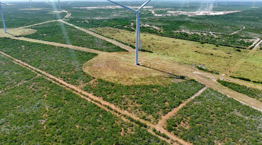 TRACT 7 (50AC) San Pablo Ave, Bruni, Texas 78344, ,Land,For Sale,TRACT 7 (50AC) San Pablo Ave,20263661