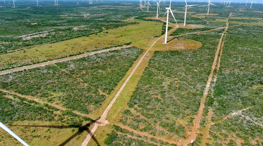 TRACT 7 (50AC) San Pablo Ave, Bruni, Texas 78344, ,Land,For Sale,TRACT 7 (50AC) San Pablo Ave,20263661