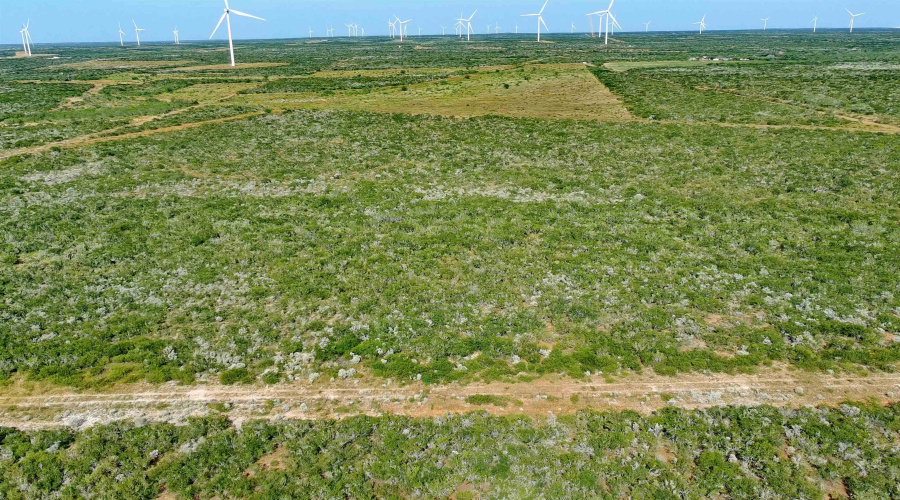 TRACT 7 (50AC) San Pablo Ave, Bruni, Texas 78344, ,Land,For Sale,TRACT 7 (50AC) San Pablo Ave,20263661