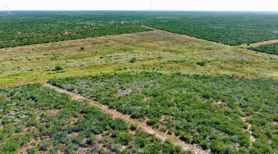 TRACT 8 (47.77) San Pablo Ave, Bruni, Texas 78344, ,Land,For Sale,TRACT 8 (47.77) San Pablo Ave,20263662