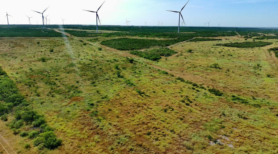 TRACT 8 (47.77) San Pablo Ave, Bruni, Texas 78344, ,Land,For Sale,TRACT 8 (47.77) San Pablo Ave,20263662