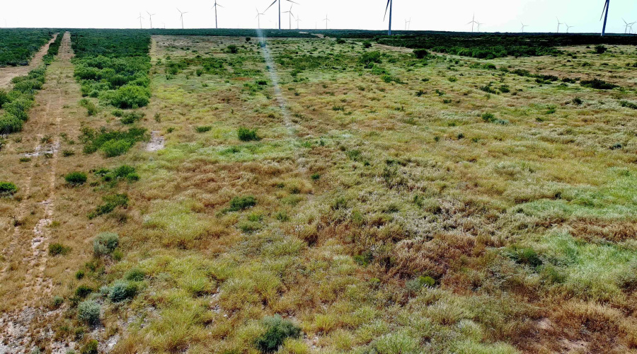Tract 9 in foreground, Tract 8 west of tract 9