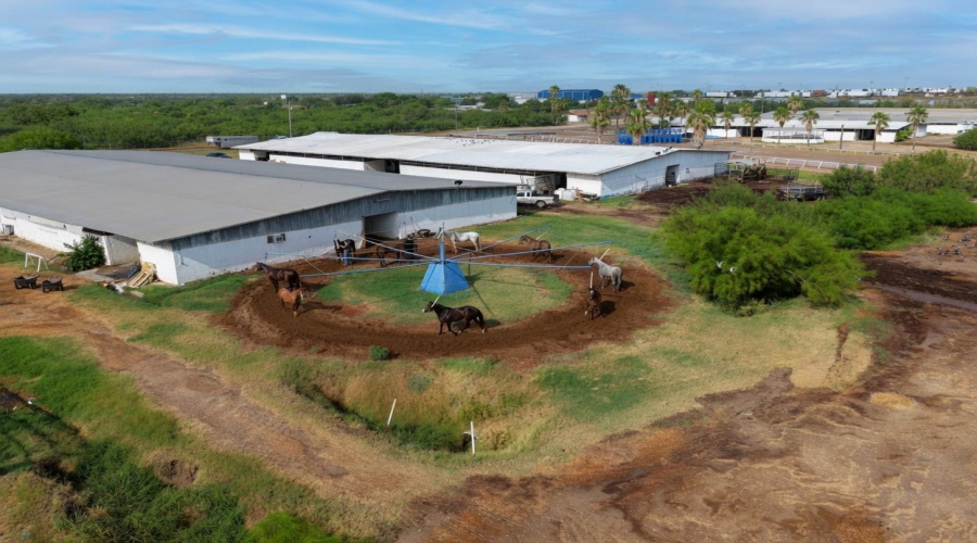 115 Ranch Rd, Laredo, Texas 78045, ,Land,For Sale,115 Ranch Rd,20263689