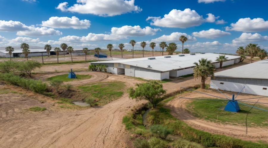 115 Ranch Rd, Laredo, Texas 78045, ,Land,For Sale,115 Ranch Rd,20263689