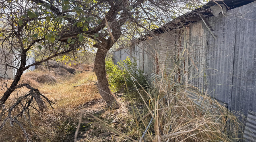 1536 Siesta Ln, zapata, Texas 78076, ,Land,For Sale,1536 Siesta Ln,20263691