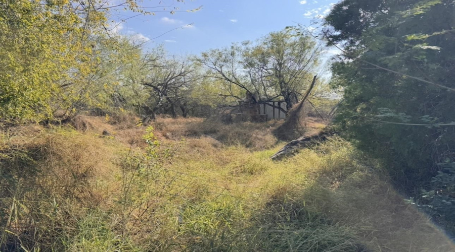 1536 Siesta Ln, zapata, Texas 78076, ,Land,For Sale,1536 Siesta Ln,20263691