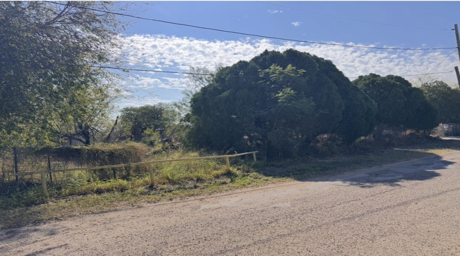 1536 Siesta Ln, zapata, Texas 78076, ,Land,For Sale,1536 Siesta Ln,20263691