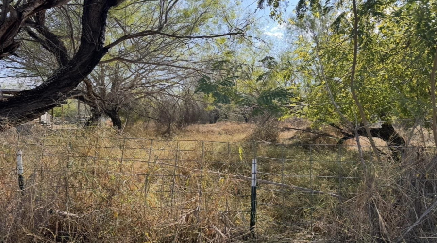 1536 Siesta Ln, zapata, Texas 78076, ,Land,For Sale,1536 Siesta Ln,20263691