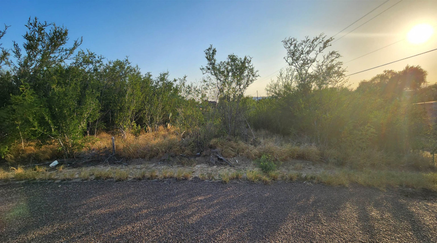 5303 Juan Lane, Zapata, Texas 78076, ,Land,For Sale,5303 Juan Lane,20263744