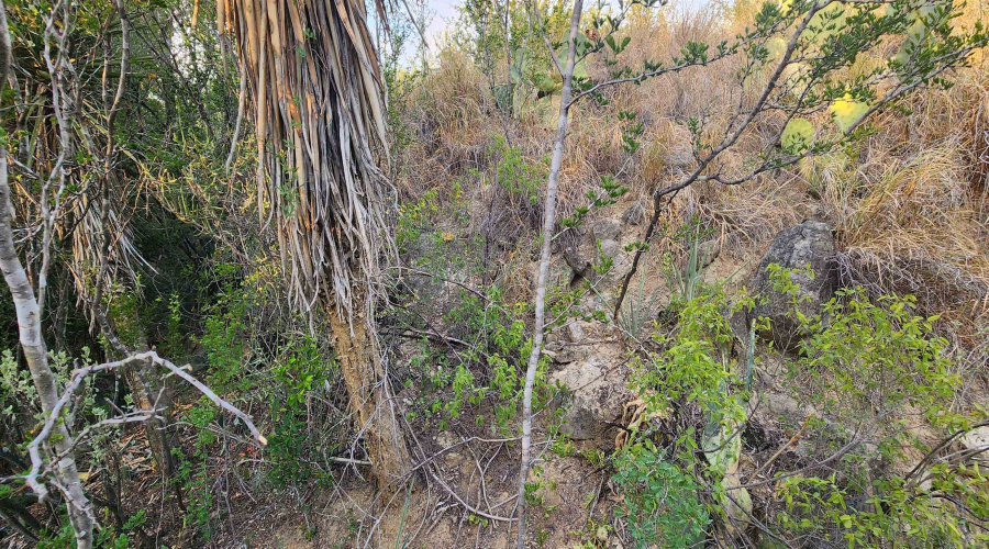 5303 Juan Lane, Zapata, Texas 78076, ,Land,For Sale,5303 Juan Lane,20263744