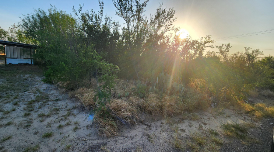 5303 Juan Lane, Zapata, Texas 78076, ,Land,For Sale,5303 Juan Lane,20263744