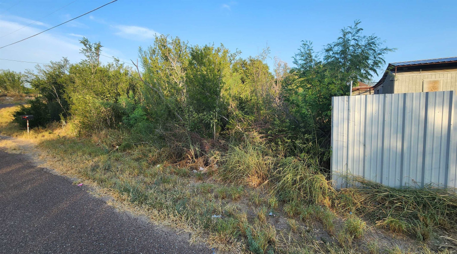 5303 Juan Lane, Zapata, Texas 78076, ,Land,For Sale,5303 Juan Lane,20263744