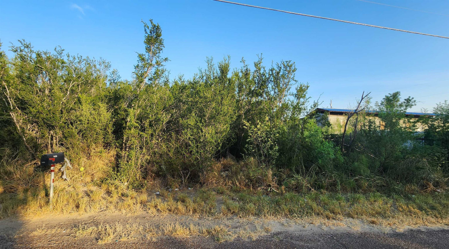5303 Juan Lane, Zapata, Texas 78076, ,Land,For Sale,5303 Juan Lane,20263744
