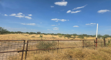 11311 TX State Hwy 359, Laredo, Texas 78044, ,Land,For Sale,11311 TX State Hwy 359,20263766