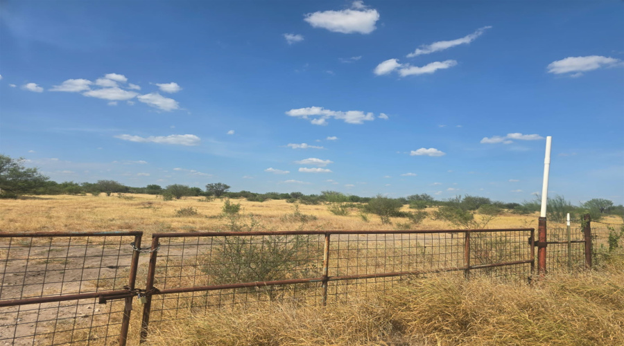 11311 TX State Hwy 359, Laredo, Texas 78044, ,Land,For Sale,11311 TX State Hwy 359,20263766