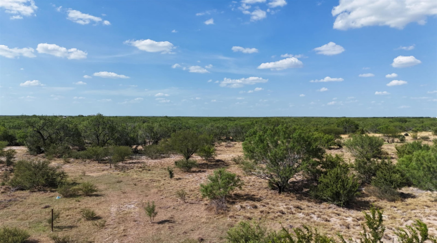 11311 TX State Hwy 359, Laredo, Texas 78044, ,Land,For Sale,11311 TX State Hwy 359,20263766