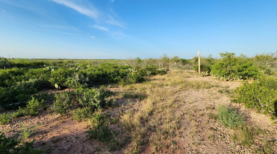 324 Ranch Rd, Laredo, Texas 78046, ,Land,For Sale,324 Ranch Rd,20263767