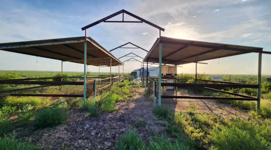 324 Ranch Rd, Laredo, Texas 78046, ,Land,For Sale,324 Ranch Rd,20263767