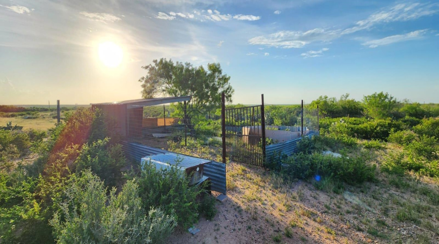 324 Ranch Rd, Laredo, Texas 78046, ,Land,For Sale,324 Ranch Rd,20263767