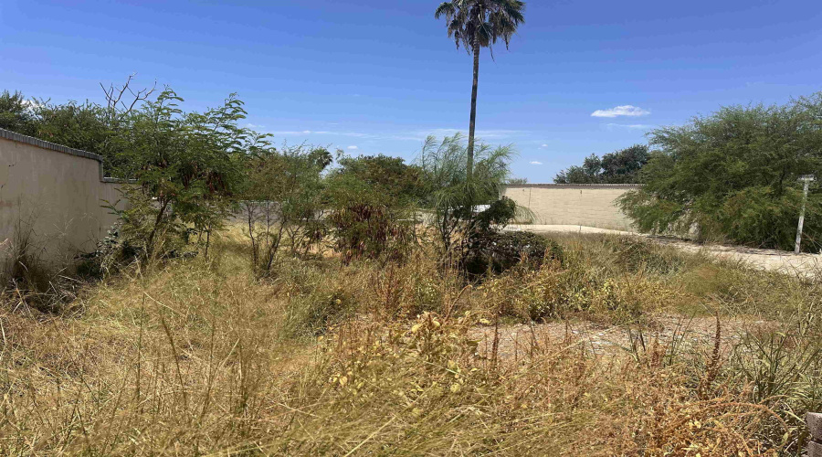 1710 McClelland Ave, Laredo, Texas 78040, ,Land,For Sale,1710 McClelland Ave,20263770