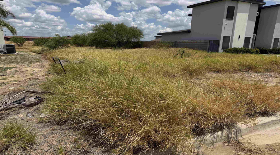 6920 Molinos Dr, Laredo, Texas 78046, ,Land,For Sale,6920 Molinos Dr,20263788