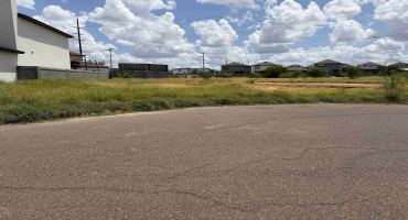 3501 Fuente Ln, Laredo, Texas 78046, ,Land,For Sale,3501 Fuente Ln,20263789