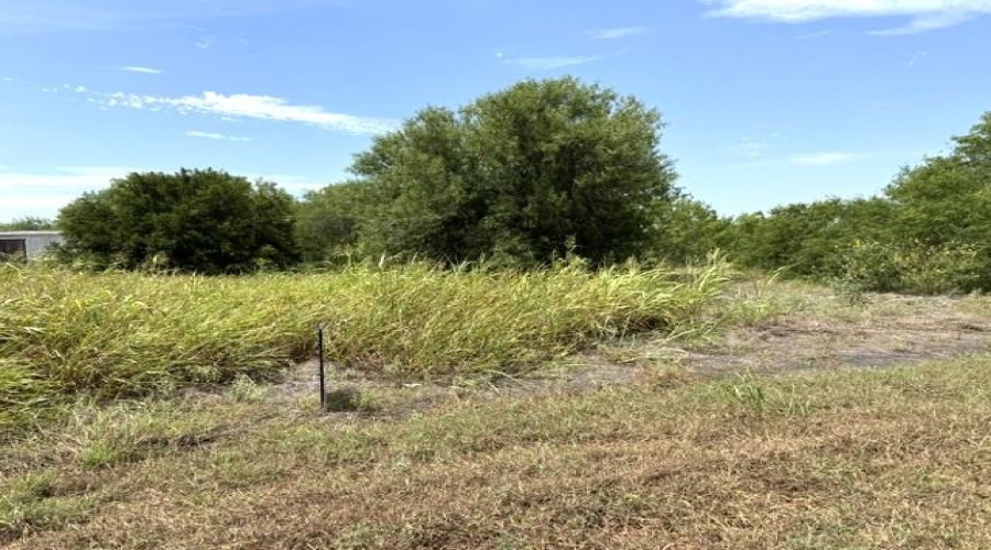 14B County Rd, Bishop, Texas 78343, ,Land,For Sale,14B County Rd,20263804