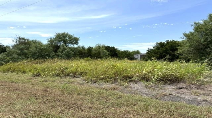14B County Rd, Bishop, Texas 78343, ,Land,For Sale,14B County Rd,20263804