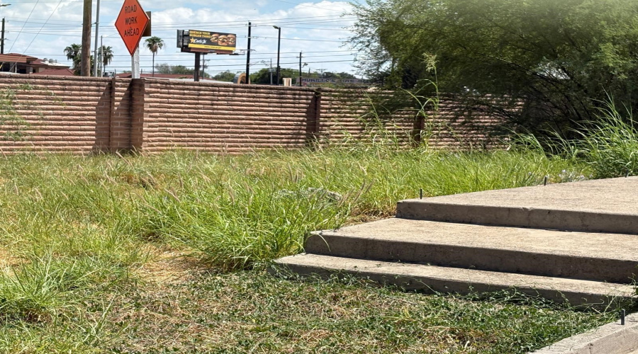 9310 Albany Dr, Laredo, Texas 78045, ,Land,For Sale,9310 Albany Dr,20263808
