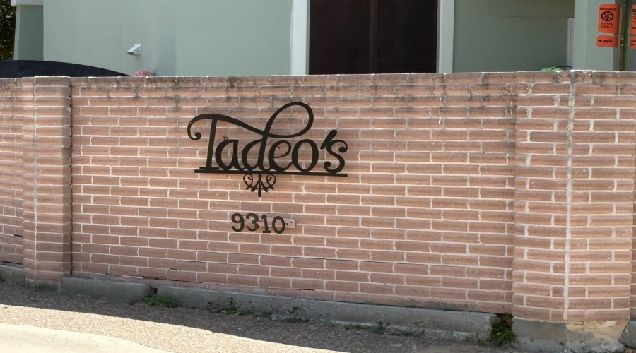 9310 Albany Dr, Laredo, Texas 78045, ,Land,For Sale,9310 Albany Dr,20263808