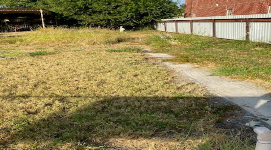 503 Lobo Lp, Laredo, Texas 78045, ,Land,For Sale,503 Lobo Lp,20263816