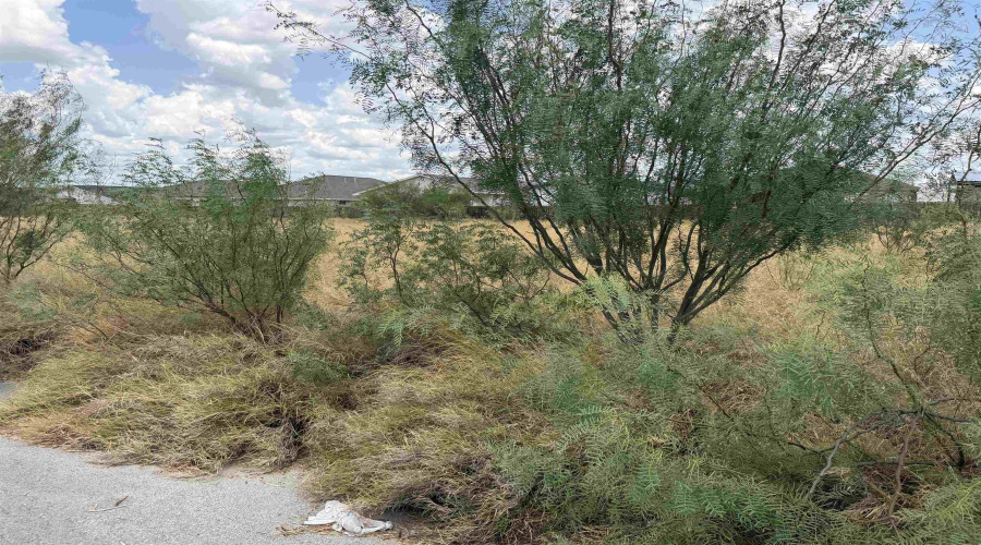 1419 El Zarape Ln., Laredo, Texas 78046, ,Land,For Sale,1419 El Zarape Ln.,20263824
