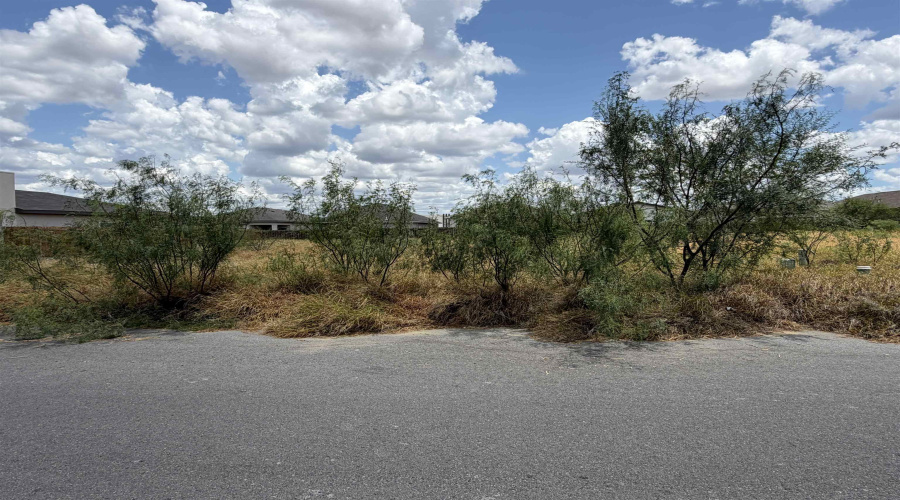 1421 El Zarape Ln., Laredo, Texas 78046, ,Land,For Sale,1421 El Zarape Ln.,20263825