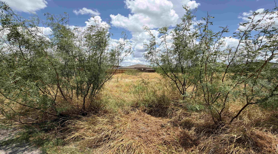 1427 El Zarape Ln., Laredo, Texas 78046, ,Land,For Sale,1427 El Zarape Ln.,20263826