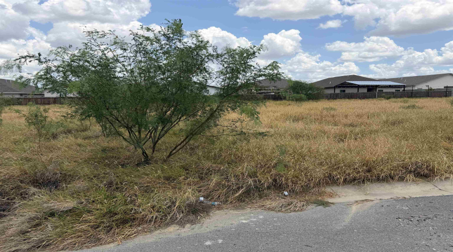 1425 El Zarape Ln., Laredo, Texas 78046, ,Land,For Sale,1425 El Zarape Ln.,20263827